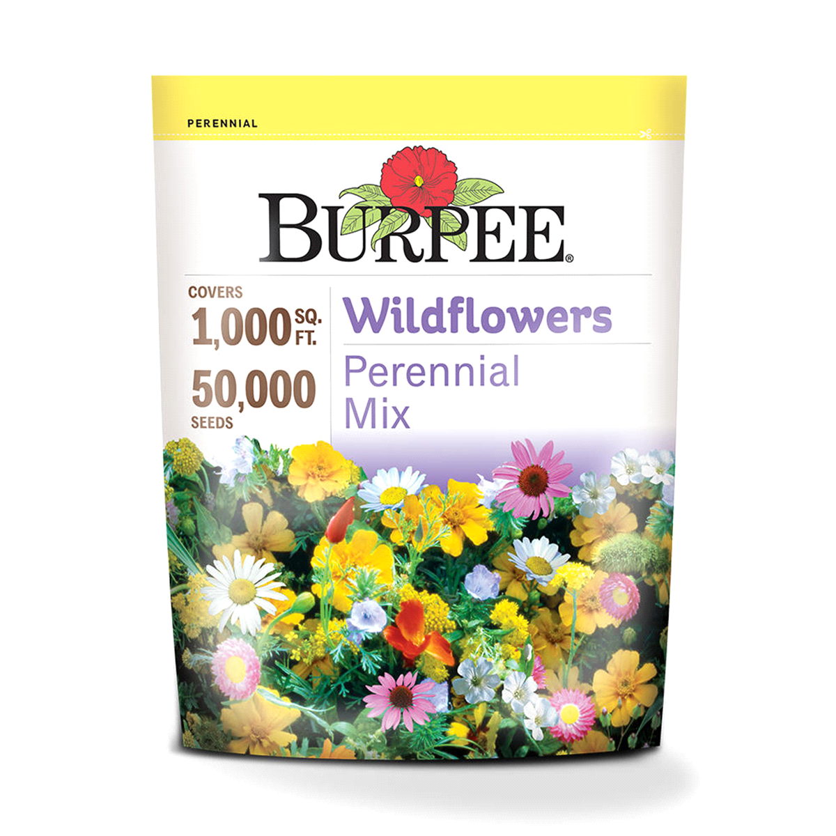 slide 1 of 1, Burpee Wildflowers Perennial Mix Seeds - Multi-Color, 1 ct