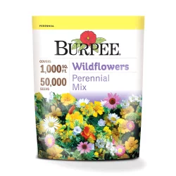 Burpee Wildflowers Perennial Mix Seeds - Multi-Color