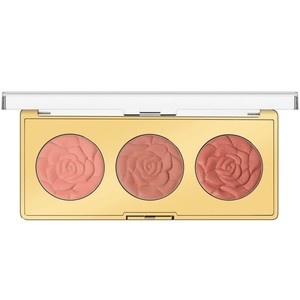 slide 1 of 1, Milani Rose Powder Blush Palette, Floral Fantasy, 1 oz