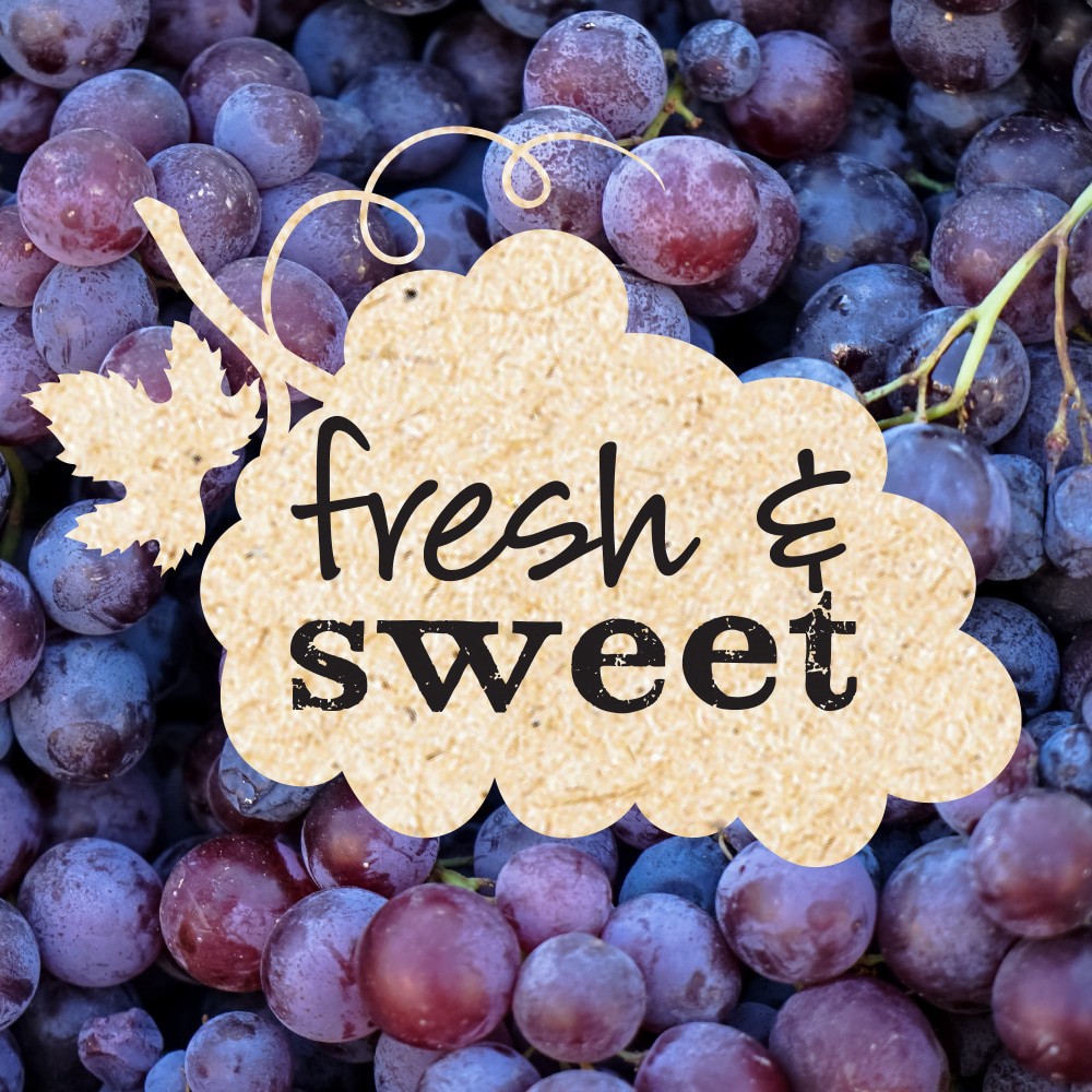 slide 4 of 5, Kroger Sugar Free Concord Grape Preserves, 13 oz