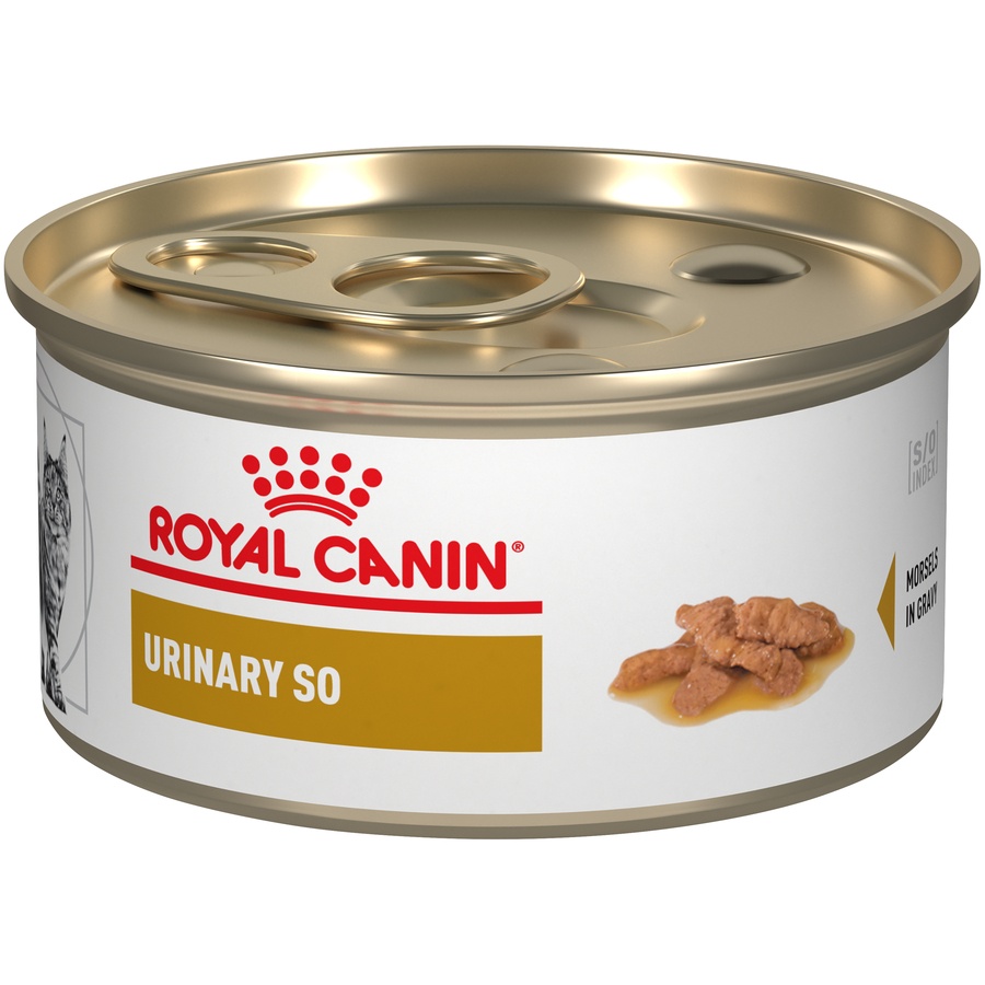 royal canin feline urinary so morsels in gravy