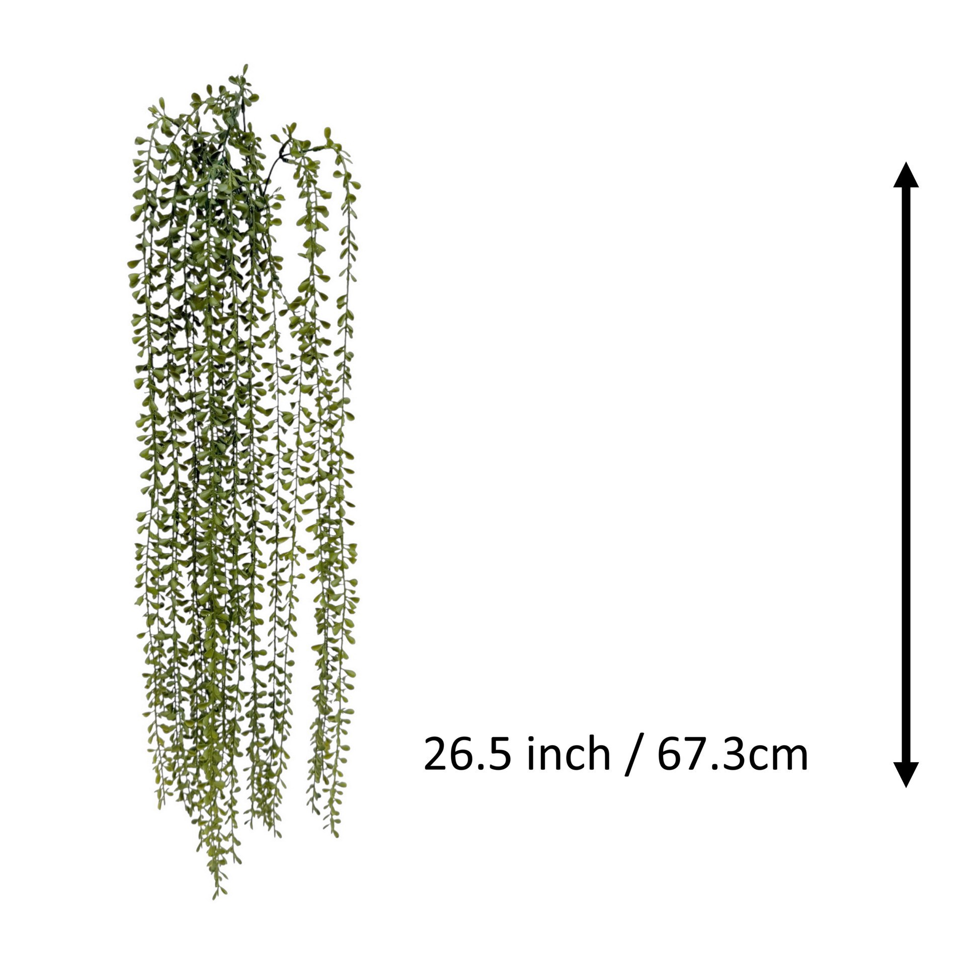 slide 3 of 3, 26.5 inch Hanging Jade Bush by Ashland, 26.5 in