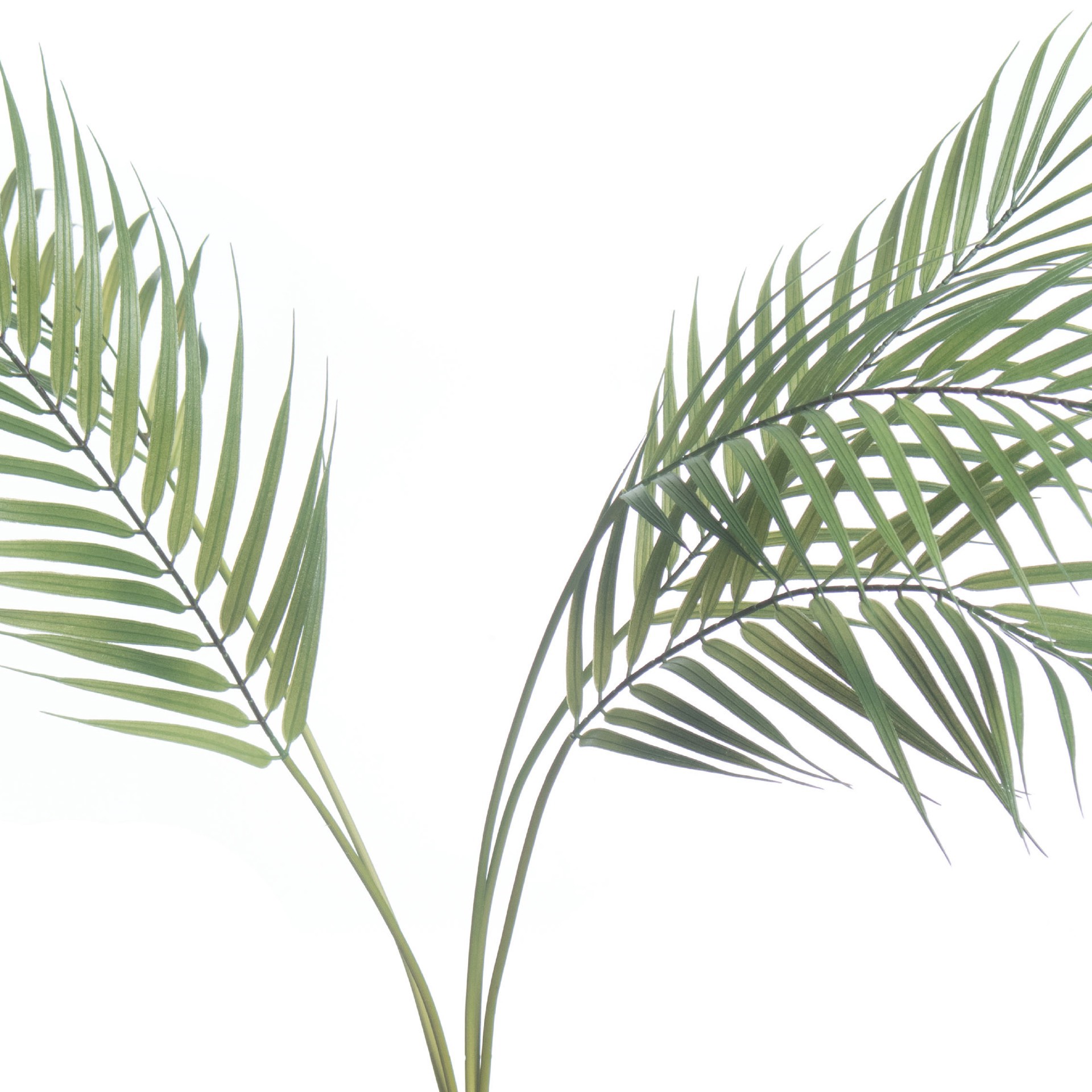 slide 3 of 3, 30" Palm Bush By Ashland, 30 in