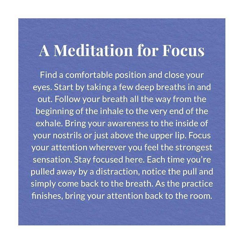 slide 5 of 8, The Republic of Tea Calm Focus Gree Tea 36 Bags - 36 ct, 36 ct