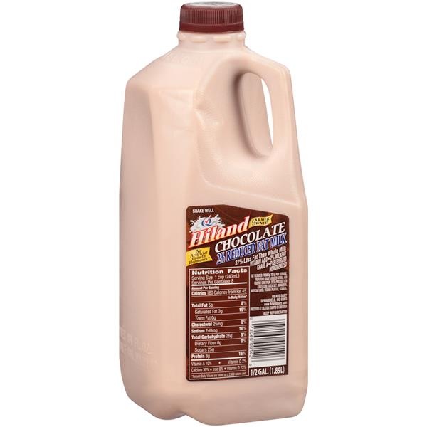 slide 1 of 1, Hiland Dairy Chocolate Milk 2% Half Gallon, 64 fl oz