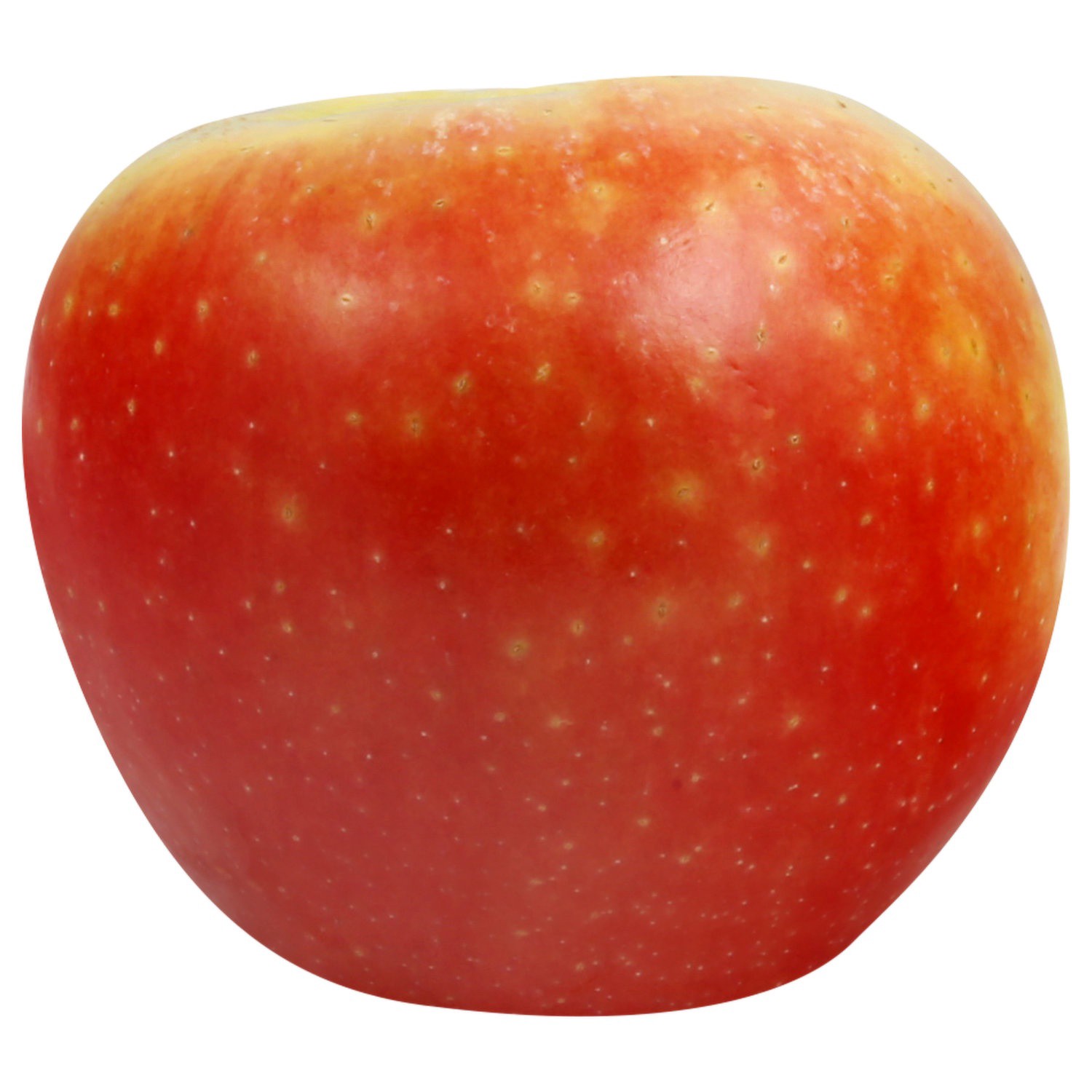 slide 1 of 1, Kanzi Apple, 1 ct