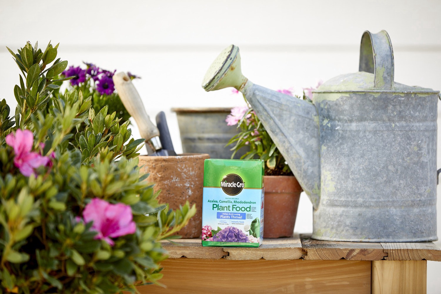 slide 2 of 5, Miracle Gro Azalea Food, 1.5 lb
