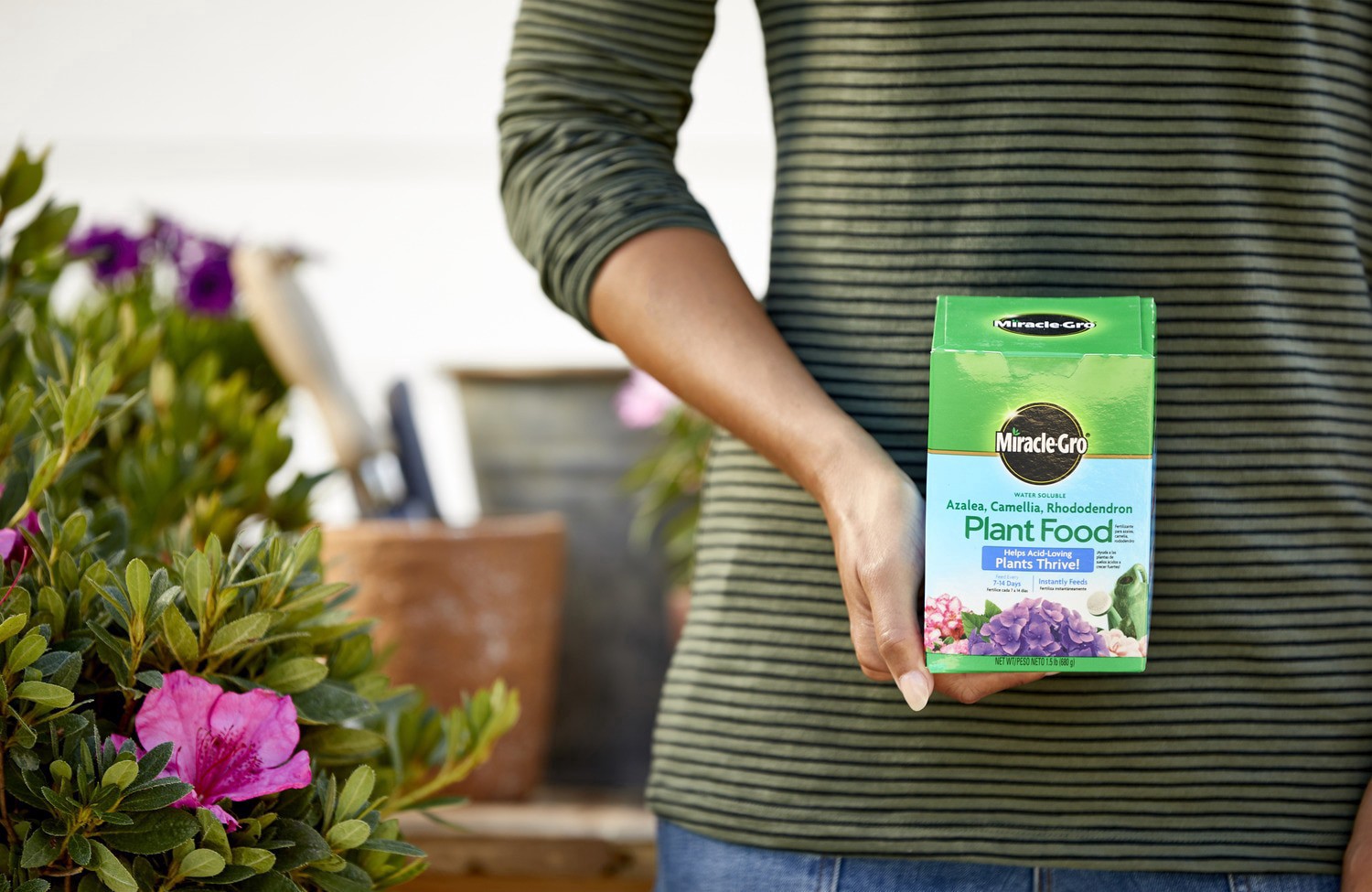 slide 5 of 5, Miracle Gro Azalea Food, 1.5 lb