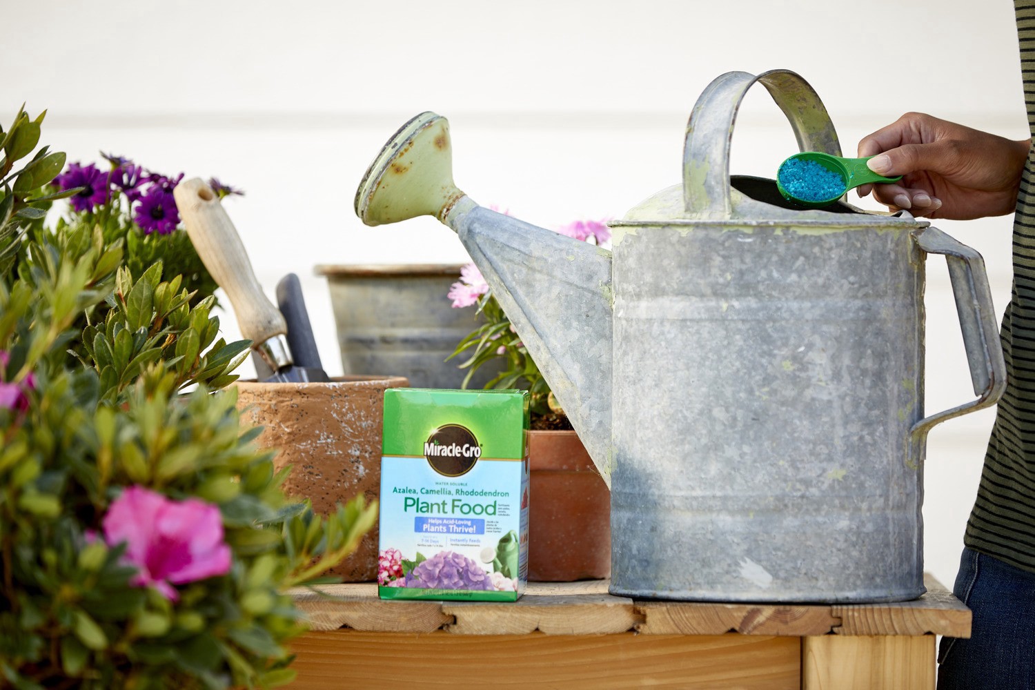 slide 4 of 5, Miracle Gro Azalea Food, 1.5 lb