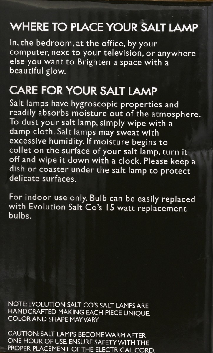 slide 2 of 10, Evolution Salt Crystal Salt Lamp 1 ea, 1 ct