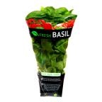 slide 1 of 1, Fresh Basil In Bag, 3 oz