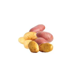 Yukon Gold Potatoes