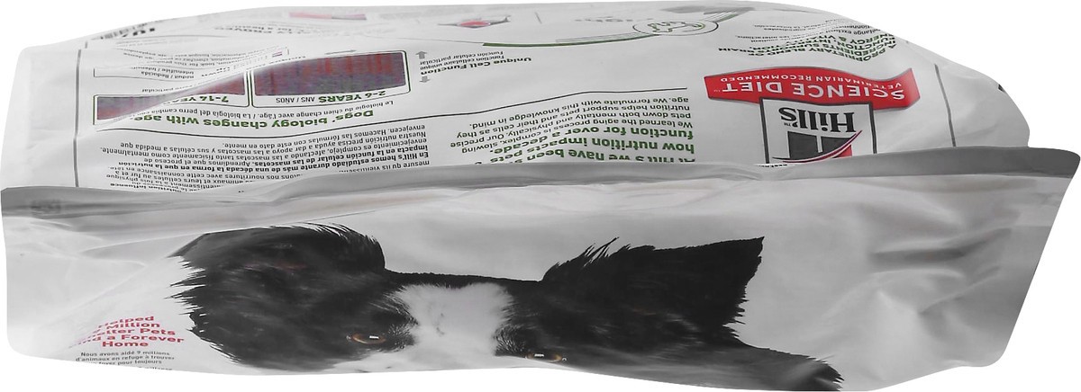 slide 5 of 12, Hills Dog Food 21.5 lb, 21.50 lb