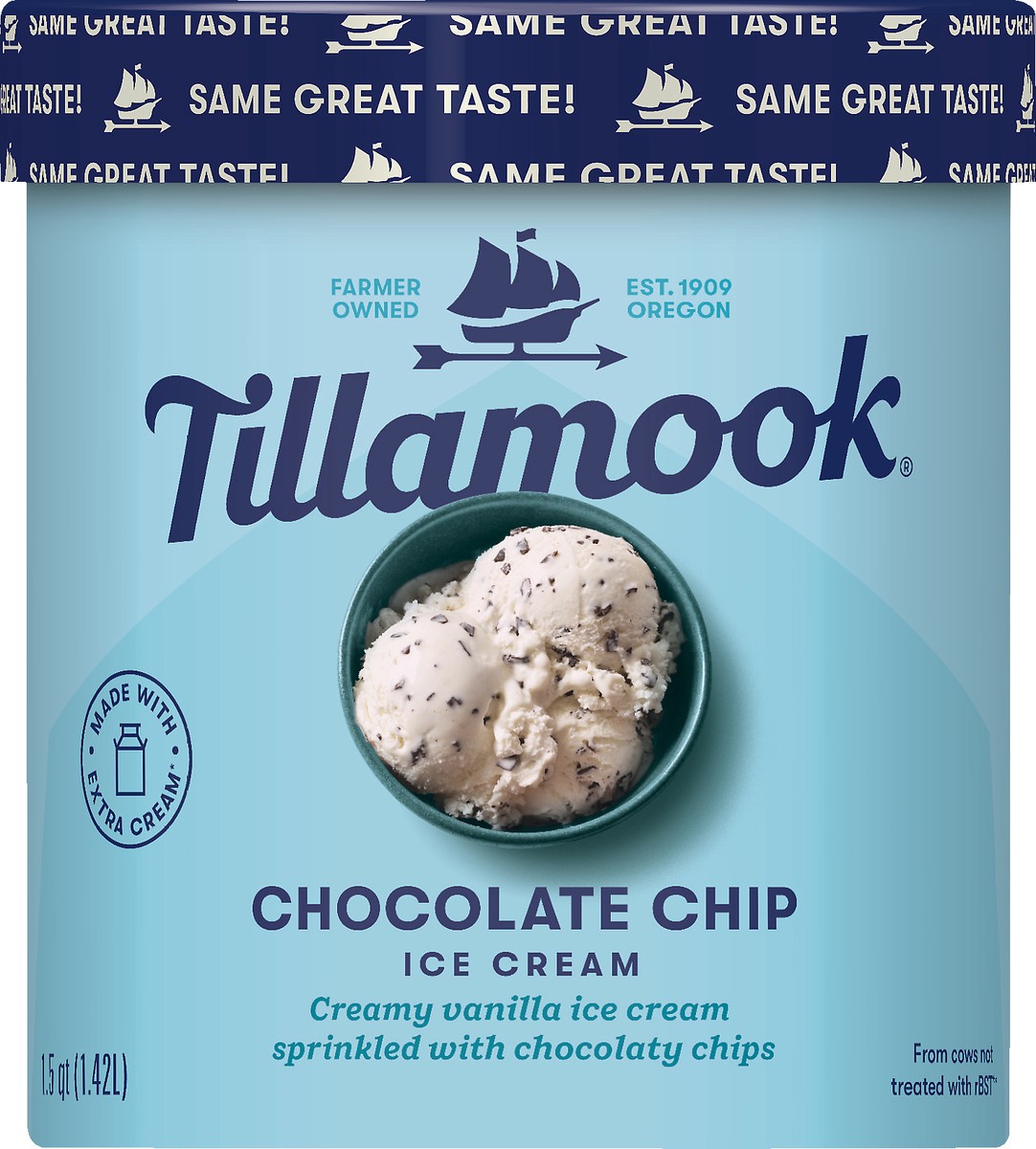 slide 2 of 2, Tillamook Chocolate Chip Ice Cream, 48fl-oz, 855 g