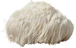 Lions Mane Mushrooms