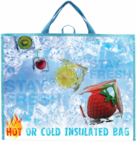 slide 1 of 1, Earth Wise Hot and Cold Insulated Bag - Blue/Red, 1 ct