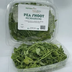 Motor City Microfarm Organic Pea Shoot Microgreens