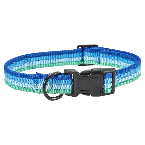 slide 1 of 1, Meijer Pet Collar Bright Blue Triple Grid, Large, LG