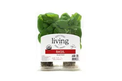 North Shore Living Organic Basil