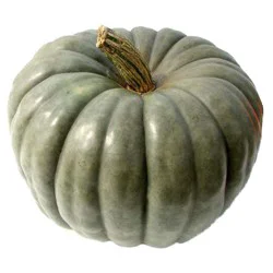 Fresh Jarradale Pumpkin
