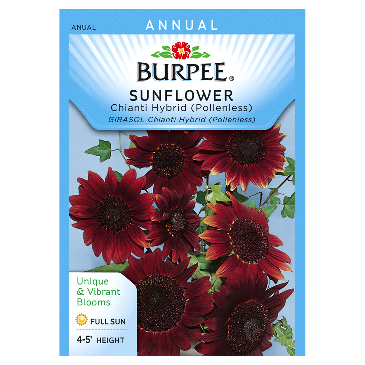 slide 1 of 1, Burpee Sunflower Chianti Hybrid Seeds, 1 ct