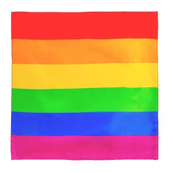 Ampro Rainbow Bandana