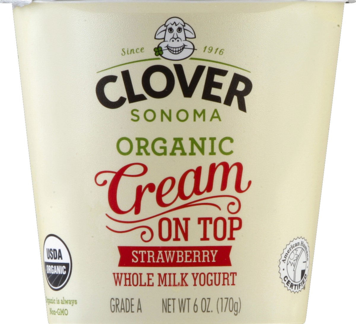 slide 3 of 3, Clover Yogurt, Whole Milk, Organic, Cream on Top, Strawberry, 6 oz