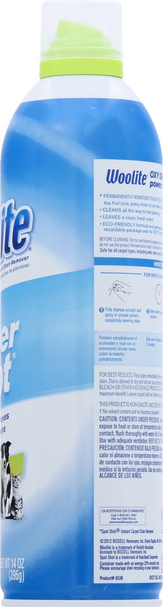 slide 10 of 10, Woolite Oxy Deep Power Shot Carpet Spot & Stain Remover 14 oz, 14 oz