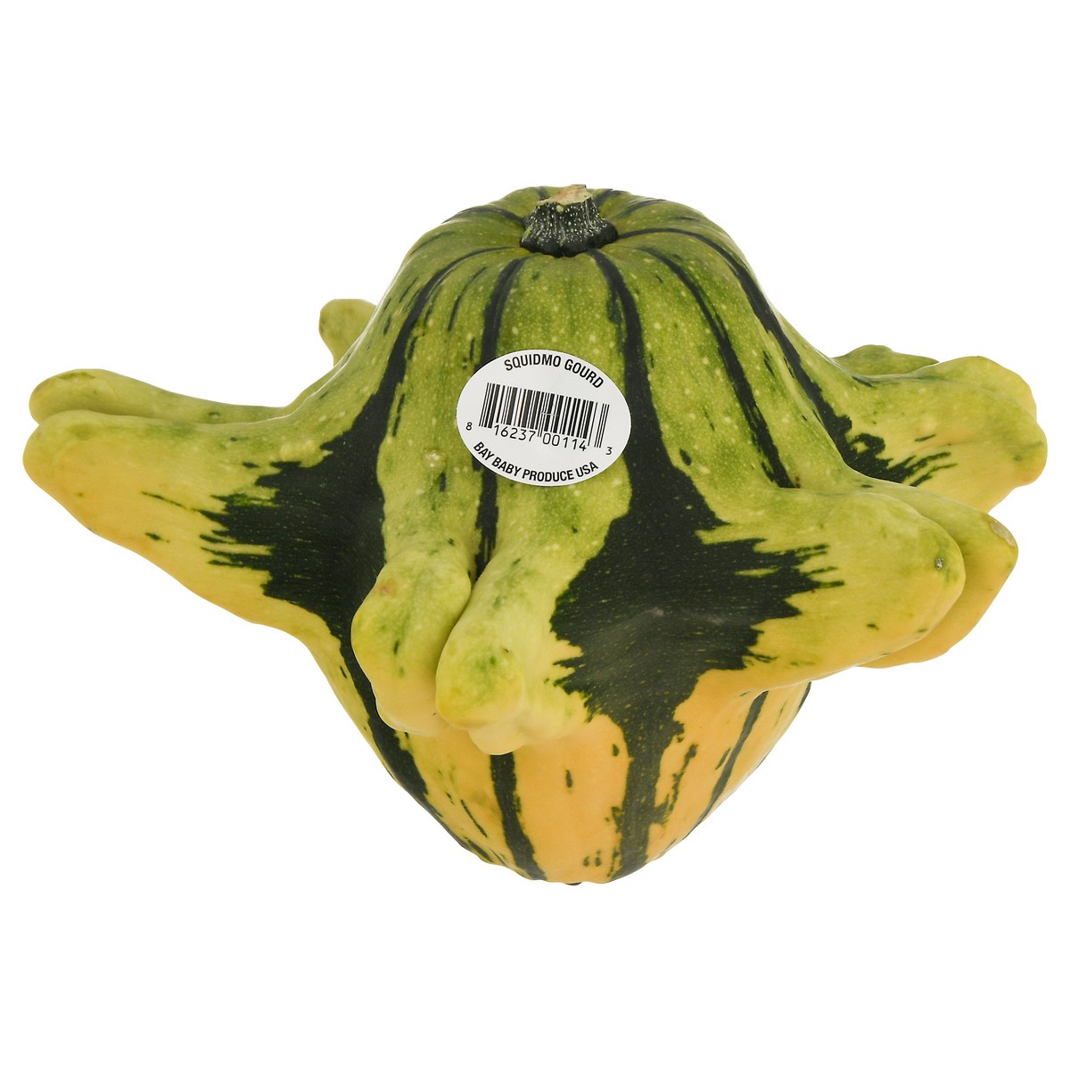 slide 9 of 9, Bay Baby Produce Squidmo Gourd, 1 ct