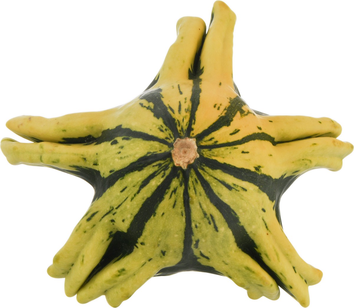 slide 4 of 9, Bay Baby Produce Squidmo Gourd, 1 ct