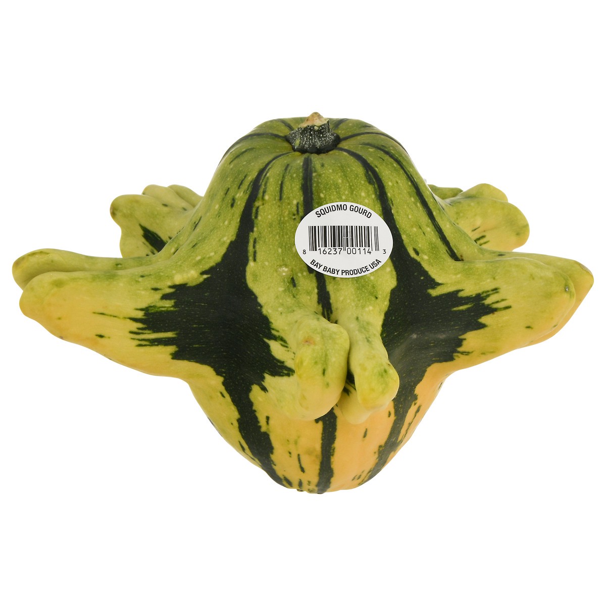 slide 1 of 9, Bay Baby Produce Squidmo Gourd, 1 ct