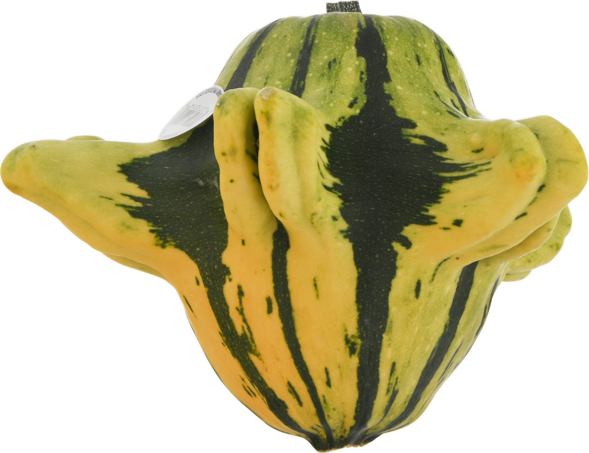 slide 6 of 9, Bay Baby Produce Squidmo Gourd, 1 ct