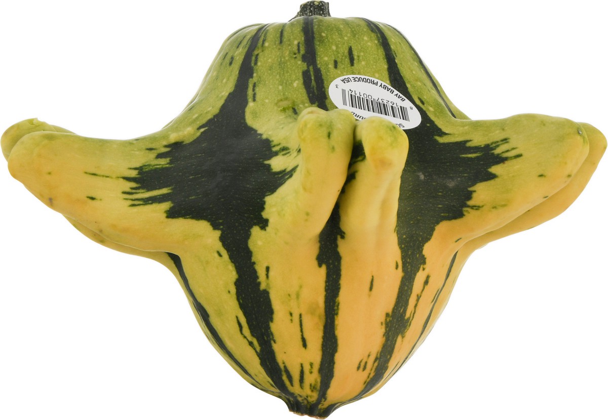 slide 3 of 9, Bay Baby Produce Squidmo Gourd, 1 ct