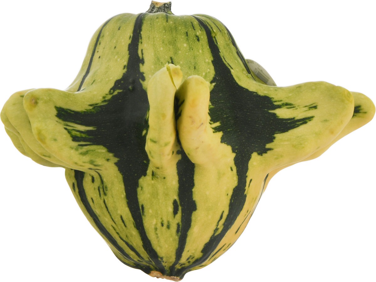slide 5 of 9, Bay Baby Produce Squidmo Gourd, 1 ct