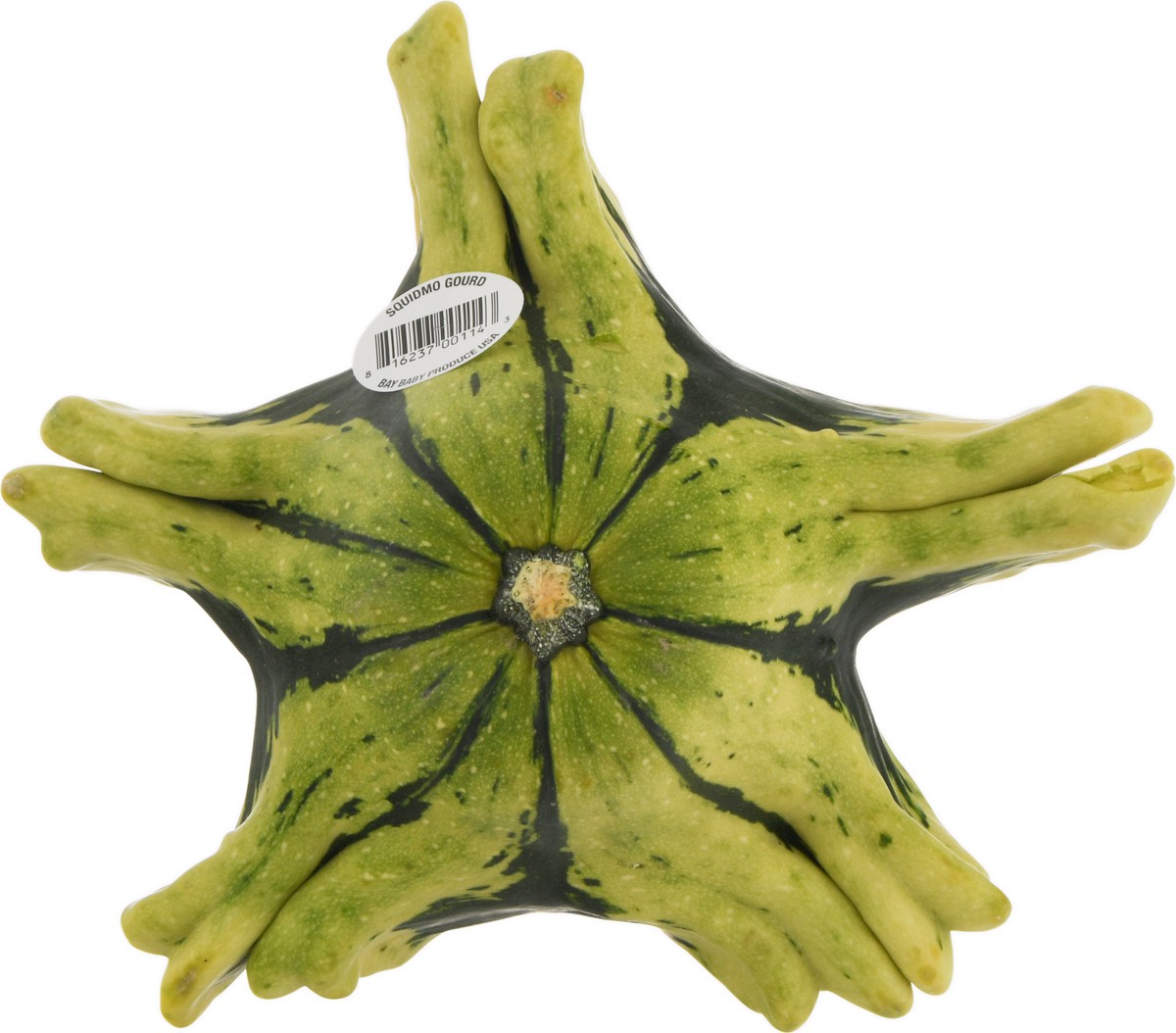slide 8 of 9, Bay Baby Produce Squidmo Gourd, 1 ct