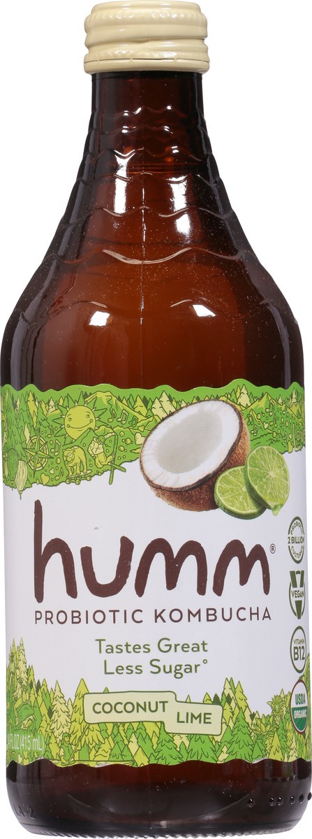 slide 8 of 9, Humm Coconut Lime Kombucha - 14 oz, 14 oz