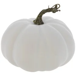 Pumpkin White Mini