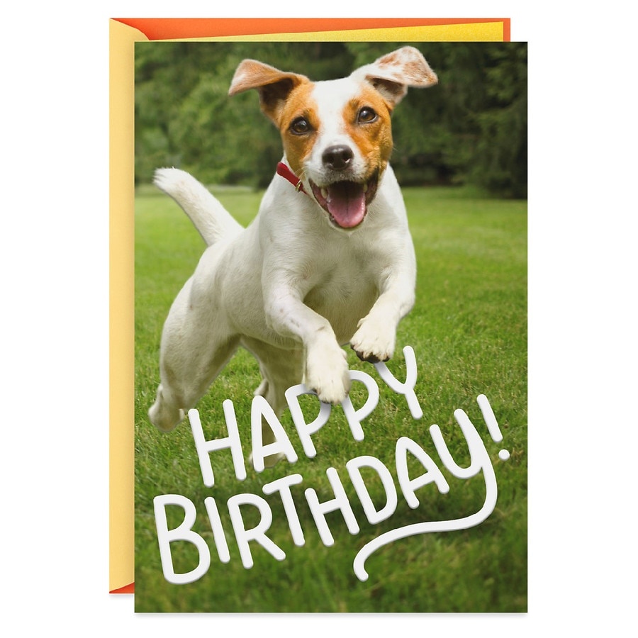 slide 1 of 1, Hallmark Funny Birthday Card (Happy Dog Off-Leash Kind of Day) E83, 1 ct