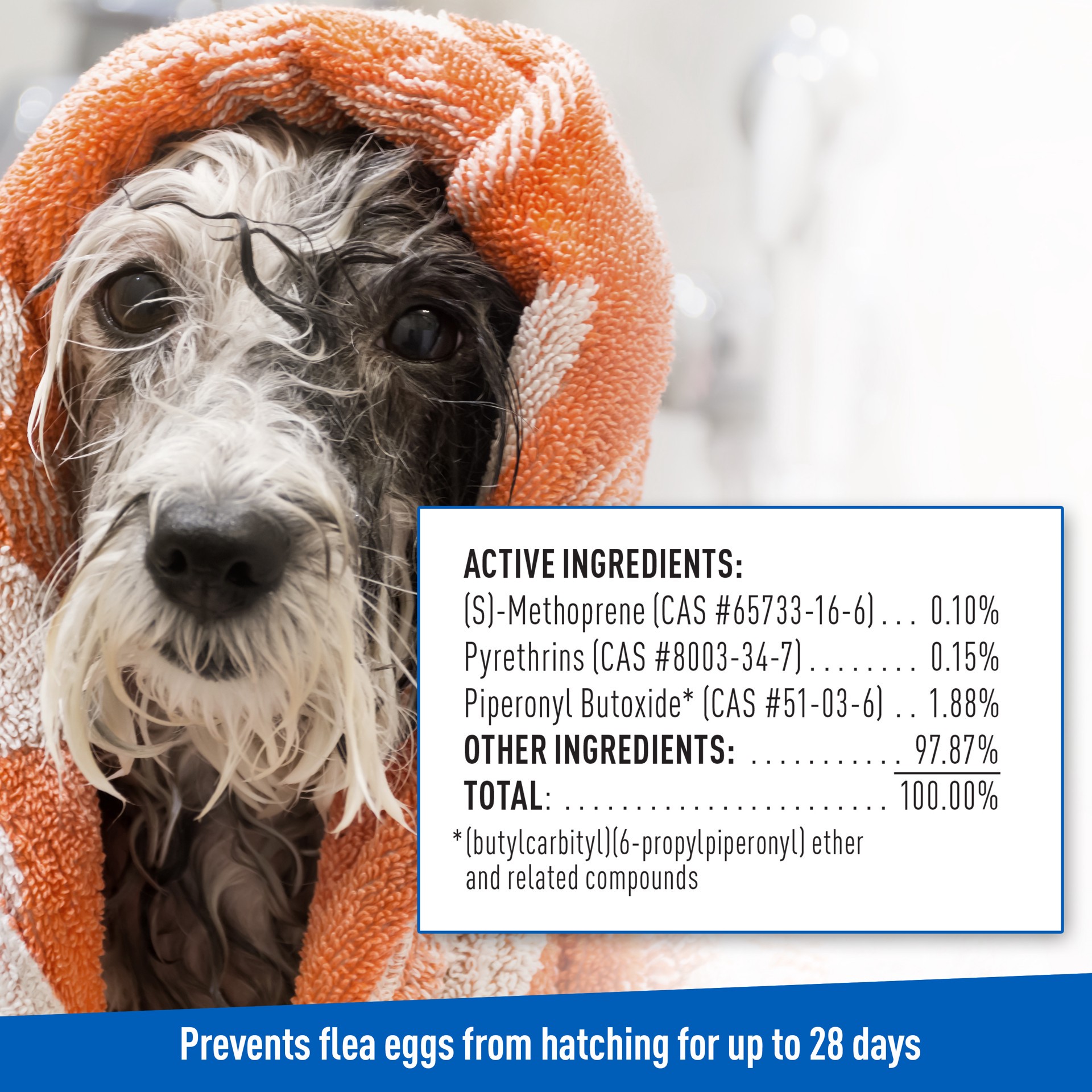 slide 2 of 9, Adams Plus Flea & Tick Foaming Shampoo & Wash for Dogs & Puppies 10 oz, 1 ct