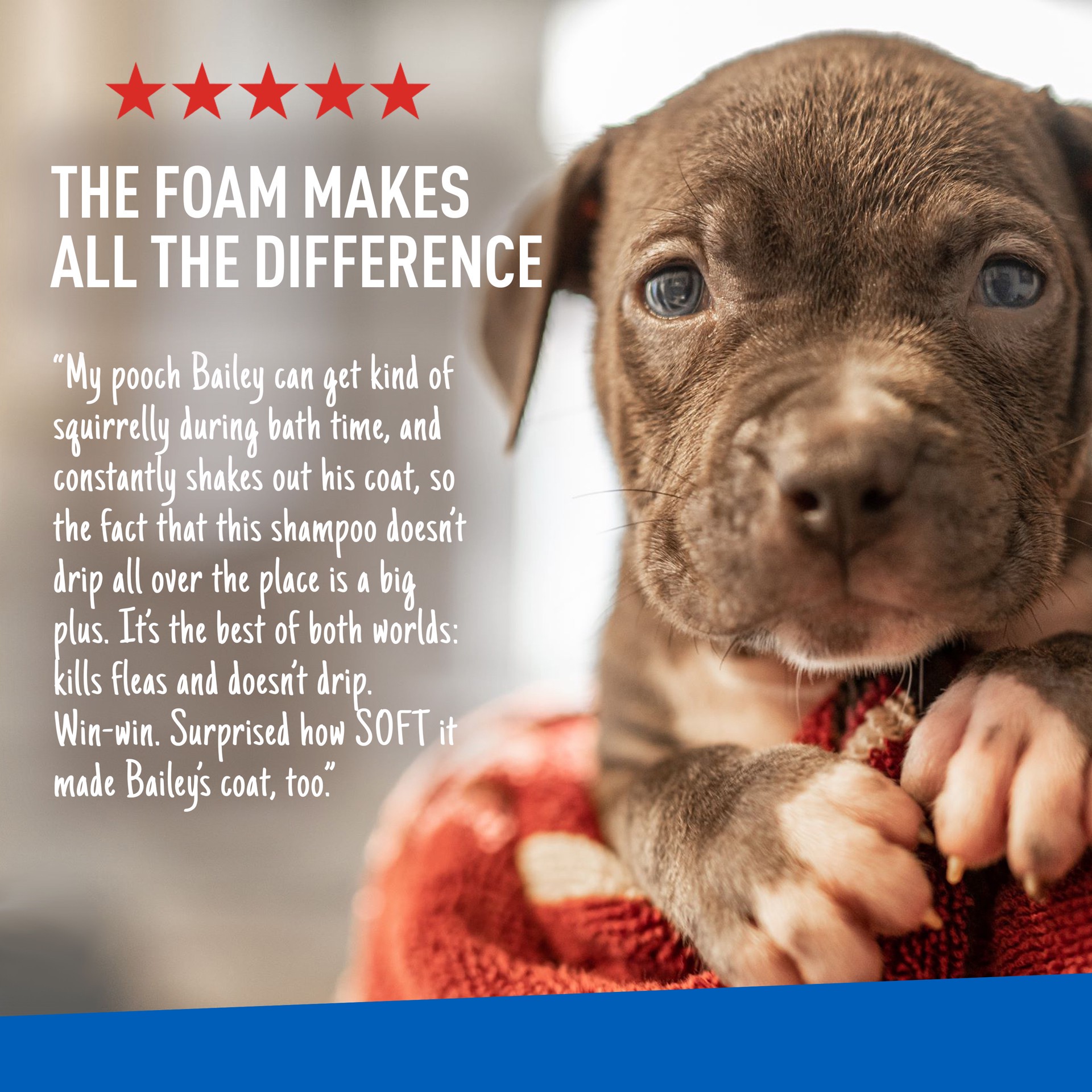 slide 4 of 9, Adams Plus Flea & Tick Foaming Shampoo & Wash for Dogs & Puppies 10 oz, 1 ct