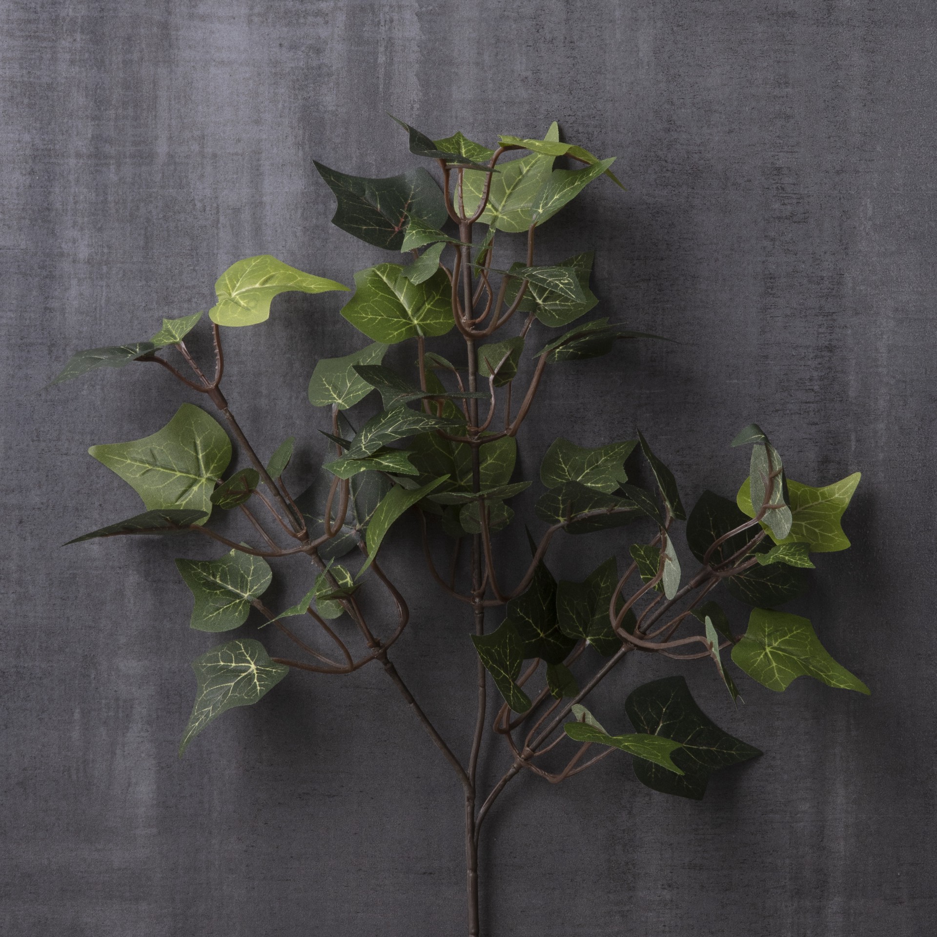 slide 3 of 3, English Ivy Stem By Ashland, 18 in