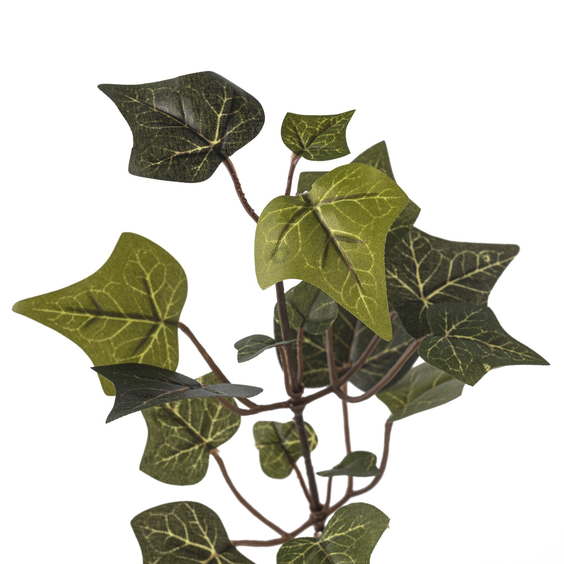 slide 2 of 3, English Ivy Stem By Ashland, 18 in