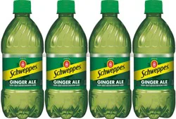 Schweppes Ginger Ale 8 - 12 fl oz Bottles