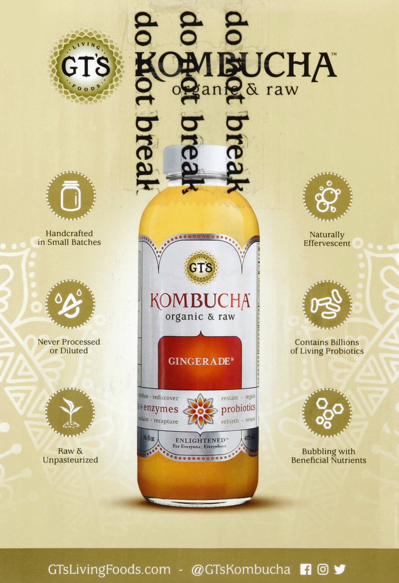 slide 3 of 4, GT's Organic Kombucha Variety - 16 oz, 16 oz