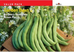 Burpee Garden Bean Stringless Green Pod Value Pack Seeds - Green