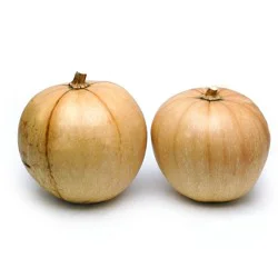 Calabaza Squash