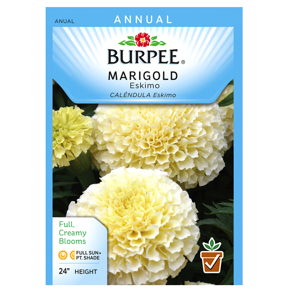 slide 1 of 1, Burpee Marigold, American Eskimo, 1 ct