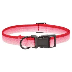 Meijer Dog Collar Pink Bright Stripe, Medium