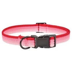 Meijer Dog Collar Pink Bright Stripe, Medium