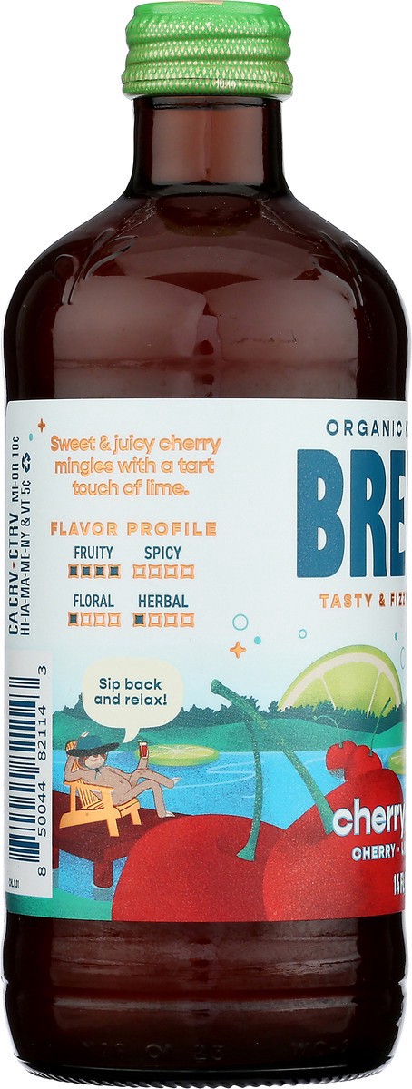 slide 3 of 14, Brew Dr. Brew Dr Kombucha Cherry Limeade 14oz, 14 fl oz